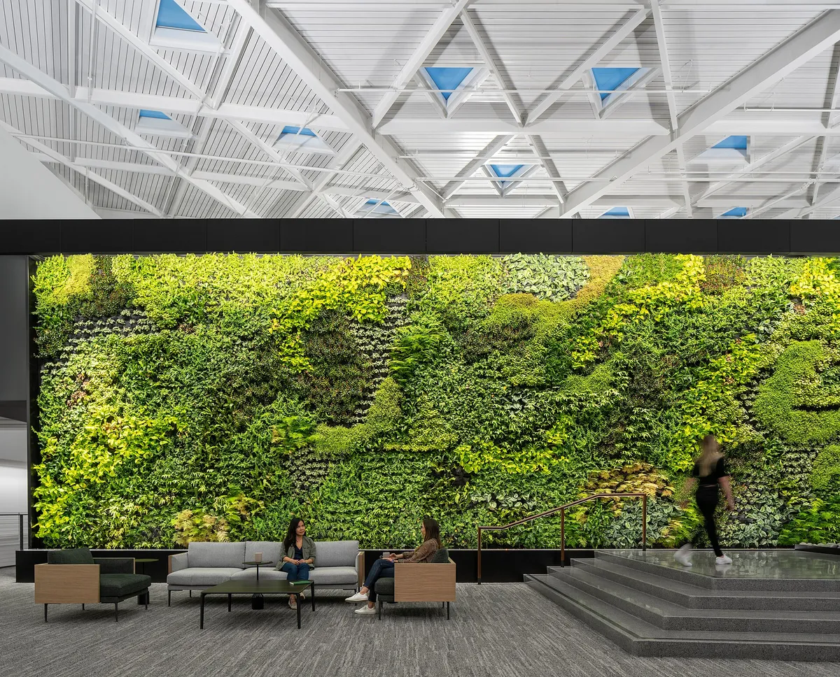 Levende plantenwand in een lounge